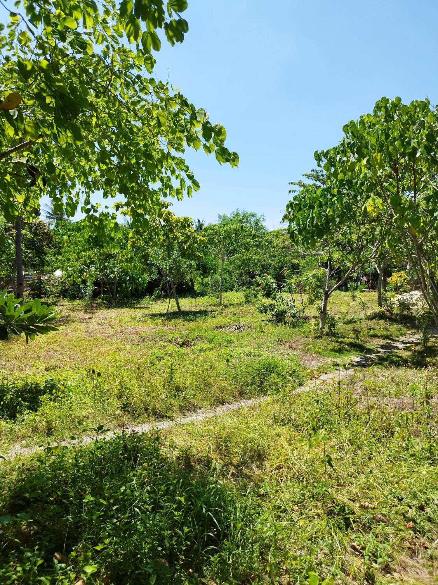 Celtis Resort Malapascua-sziget Kültér fotó