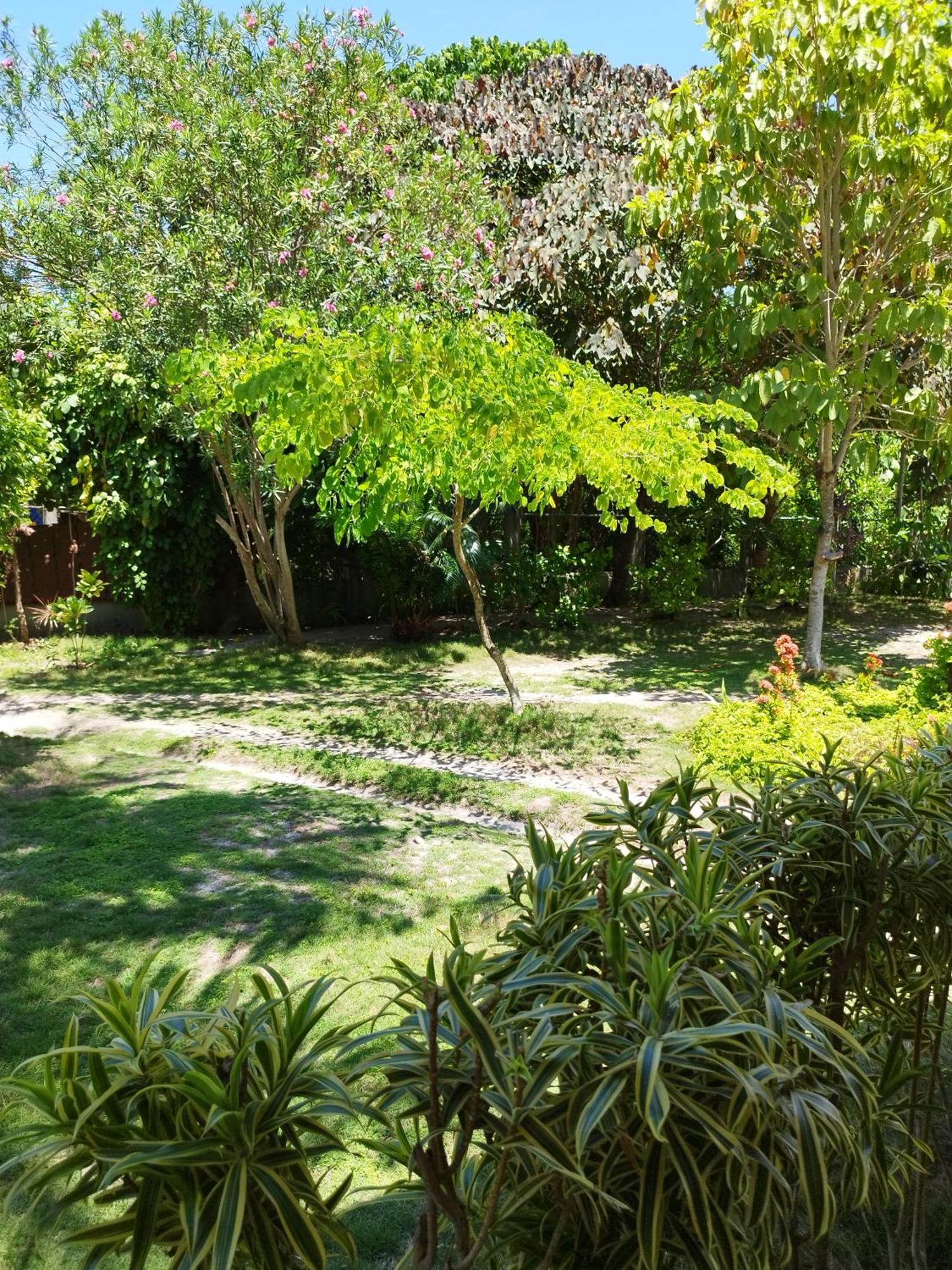 Celtis Resort Malapascua-sziget Kültér fotó